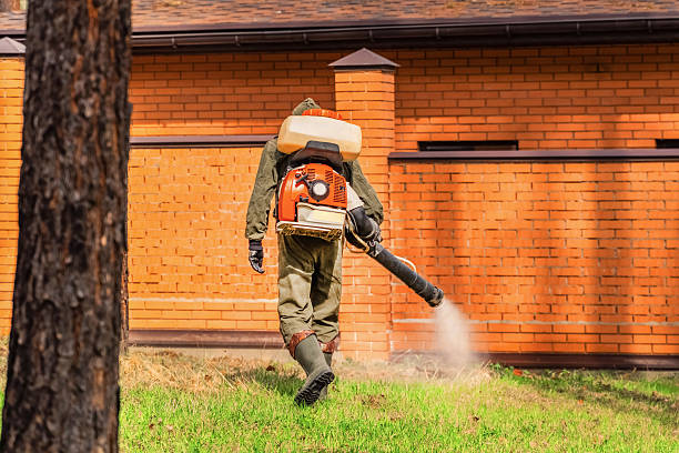 Bed Bug Clearance Verification and Documentation in Markham